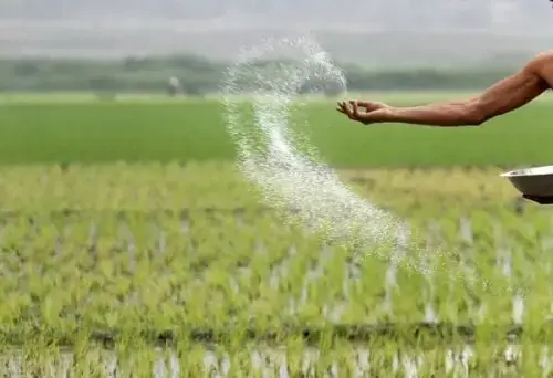 Registration of pesticide products must remain solely under federal control: CCP
