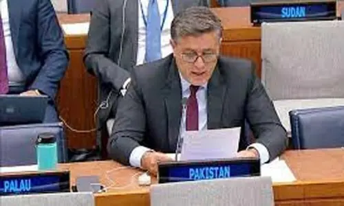 Ambassador to China Hashmi holds meetings with HICs