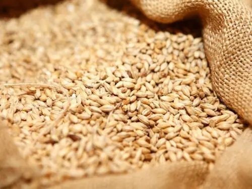 Millers seek immediate wheat stocks release