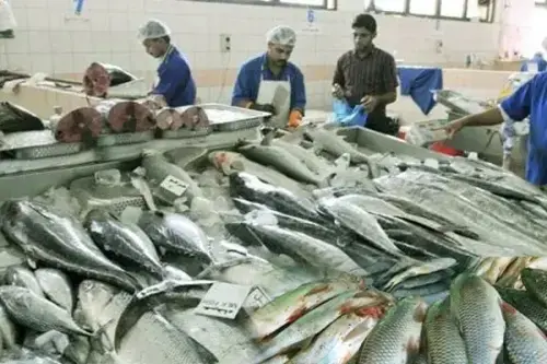 Export-led development of fisheries, aquaculture: govt initiative highlighted