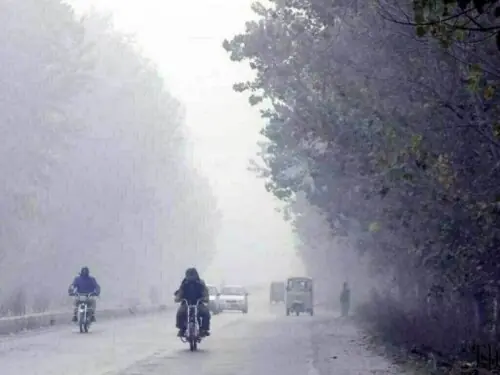 The Weather