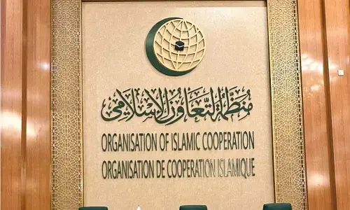 پاکستان اور او آئی سی رکن ممالک نے اسرائیل کی طرف سے صومالیہ لینڈ کو تسلیم کرنے کو مسترد کردیا