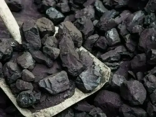 Indonesia&rsquo;s 2025 coal output seen at around 790 million metric tons, official says