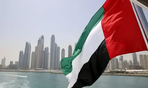 UAE says it is disappointed with Saudi Arabia&rsquo;s statement on Yemen