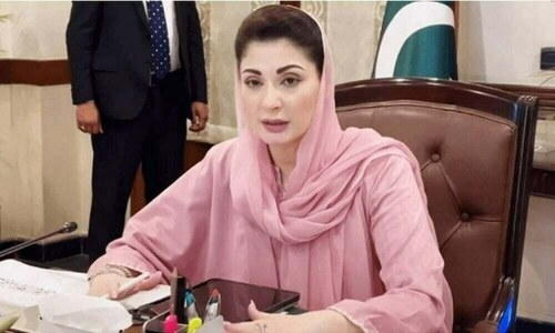 AIDS major social & economic issue: CM Maryam
