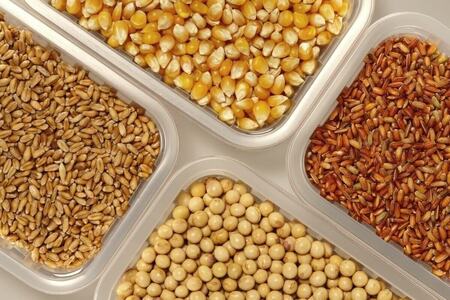 Lahore Grain Market Rates