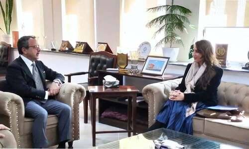 Power sector: Awais, Baker discuss reforms, investment scope