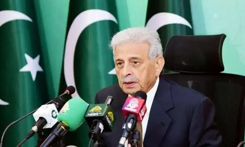 Minister calls for boosting domestic olive production