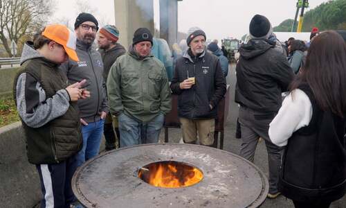 French PM urged to intervene over cow slaughter protests