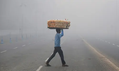India expects colder January, lifting winter crop prospects