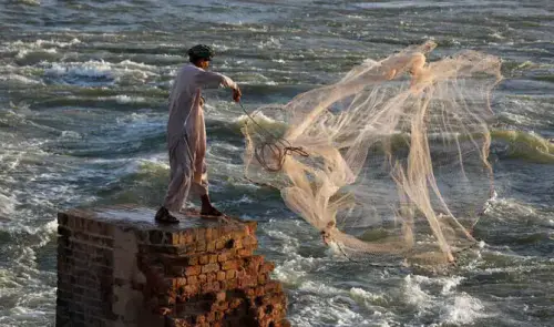 Minister admits power costs, shortages are undermining Pakistan&rsquo;s fisheries exports