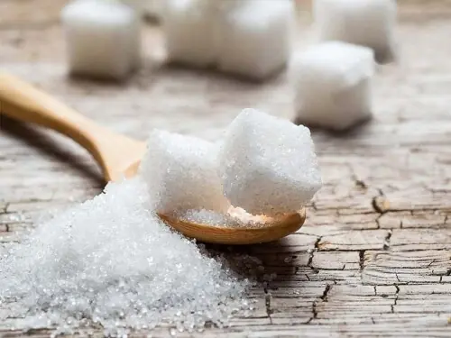 Raw sugar recovers; cocoa also gains