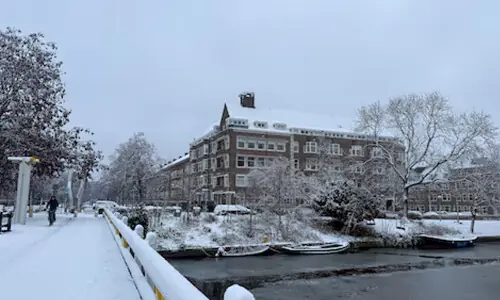 Dutch train traffic halted due to snow and ice