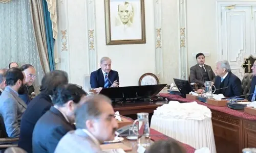 PM Shehbaz orders policy roadmap for palm oil production along coastal belt