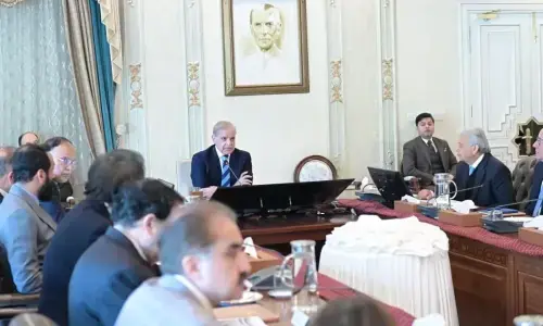 وزیرِ اعظم کی ساحلی پٹی پر پام آئل کی پیداوار کے لیے پالیسی روڈ میپ تیار کرنے کی ہدایت
