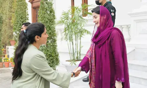 وزیراعلیٰ پنجاب اور متحدہ عرب امارات کی ڈیمیک گروپ کے درمیان سرمایہ کاری کے مواقع پر تبادلہ خیال