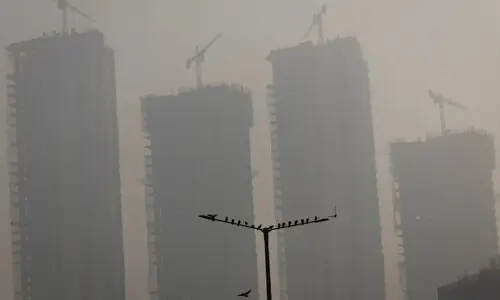 India detains environmental activist over anti-fossil fuel work