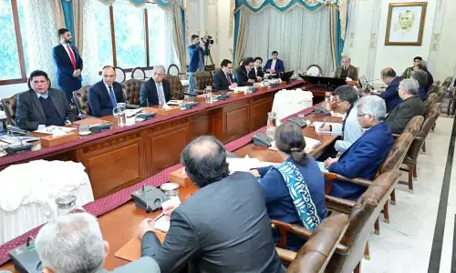 پاکستان کا قیمتی پتھروں کا شعبہ حکومتی توجہ کا مرکز بن گیا