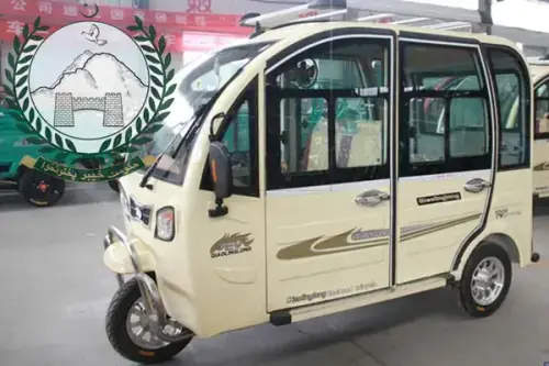 Peshawar: KP govt planning to introduce 10,000 e-rickshaws