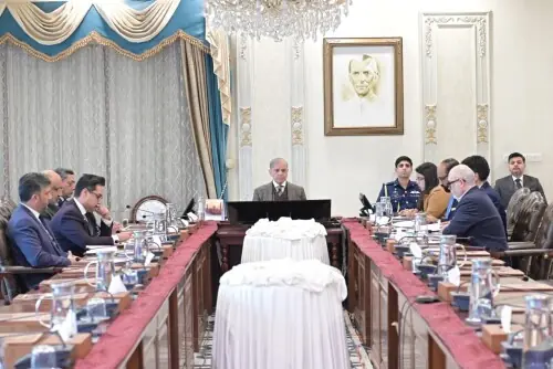 PM Shehbaz reviews NAVTTC performance, sets new targets for skills training