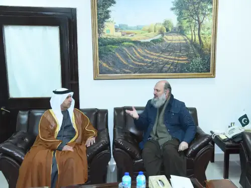 پاکستان اور یو اے ای سیپا معاہدے پر مذاکرات کو تیز کرنے پر اتفاق پاکستان اور یو اے ای سیپا معاہدے پر مذاکرات کو تیز کرنے پر اتفاق