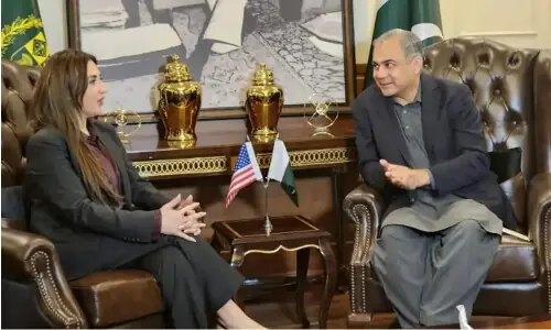 Security, border management: Pakistan, US agree to enhance cooperation Security, border management: Pakistan, US agree to enhance cooperation