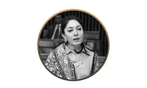 سندھ وژن