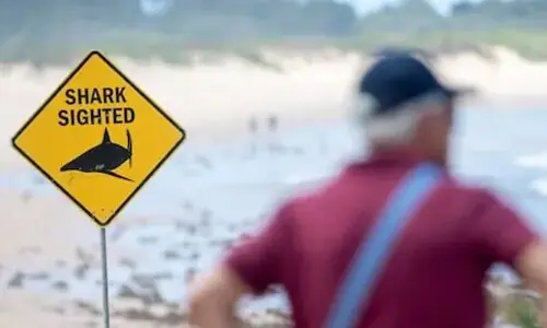 Australia shuts dozens of east coast beaches after shark attacks