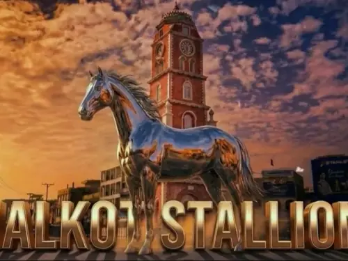 Sialkot Stallionz unveiled as newest PSL franchise ahead of season 11 Sialkot Stallionz unveiled as newest PSL franchise ahead of season 11