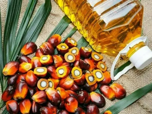 Palm oil rises on festive demand