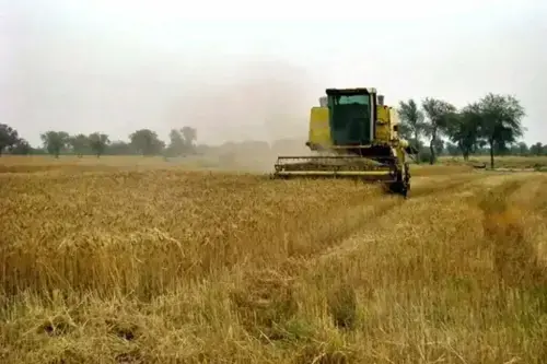 عالمی بینک نے 204.44 ملین ڈالر کے پنجاب منصوبے کی کارکردگی تسلی بخش قرار دیدی