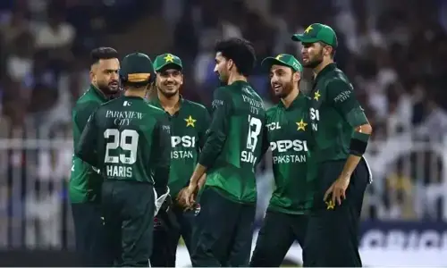 پاکستان اور آسٹریلیا کی ٹی ٹوئنٹی سیریز کے لیے میچ آفیشلز کا اعلان