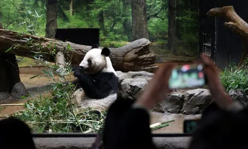 Crowds flock to Tokyo zoo to see pandas before they leave for China Crowds flock to Tokyo zoo to see pandas before they leave for China