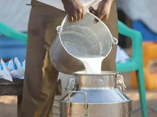 PDA lauds PFA for &lsquo;Safe Milk Campaign&rsquo;