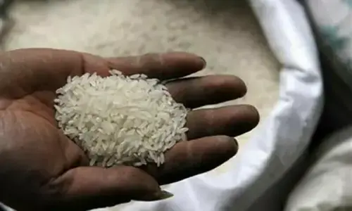 بھارت، ویتنام سے بڑھتے مقابلے کے پیشِ نظر پاکستان کی ترکیہ کو مسابقتی نرخوں پر چاول کی پیشکش