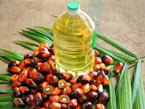Malaysian palm oil up on stronger soyoil, palm olein