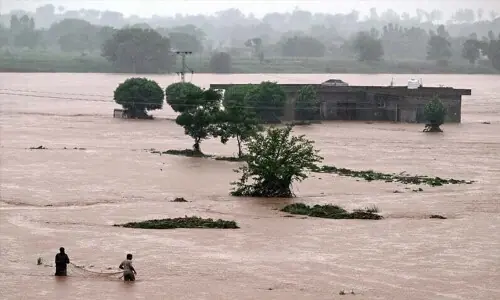 World Wetlands Day: Ministry vows wetlands&rsquo; restoration to reduce flood risks
