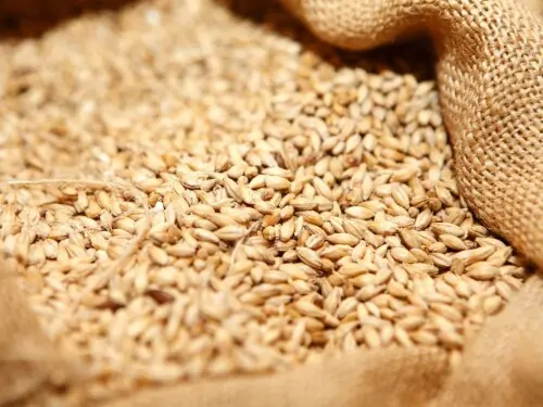 Russian wheat export prices rise third week in a row