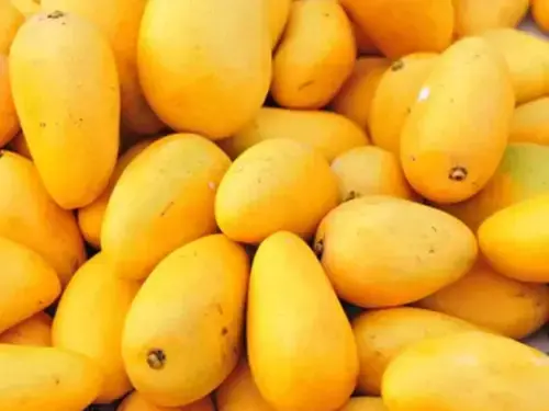 تازہ آم کے گودے کی کم سے کم برآمدی قیمت مقرر