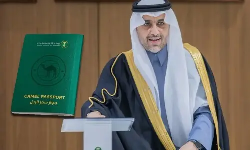 Saudi Arabia to provide passports for Kingdom&rsquo;s beloved camels