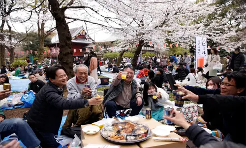 Mount Fuji cherry blossom festival cancelled due to overtourism