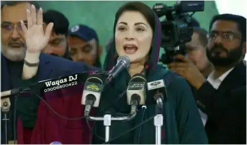 وزیراعلیٰ پنجاب نے بسنت کی تمام تقریبات منسوخ کردیں