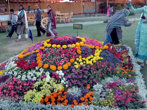 Governor KP opens 10 day spring festival and flower show in Karachi
