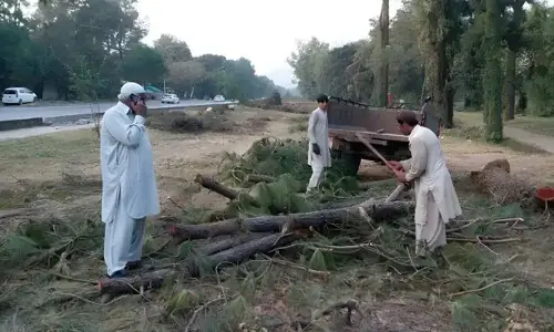 Islamabad picks concrete over trees, angering residents