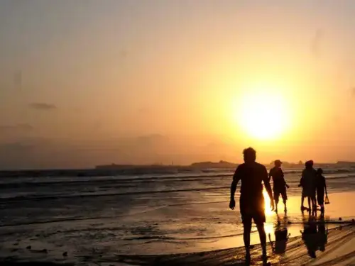 Beaches: Cleanliness, plastic-free awareness campaign held