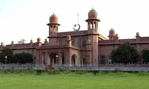 Citrus productivity: UAF holds seminar on modern orchard management