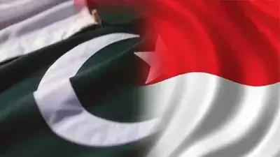 پاکستان اورانڈونیشیا کا تجارتی معاہدے کو جامع اقتصادی شراکت داری میں تبدیل کرنے کا فیصلہ