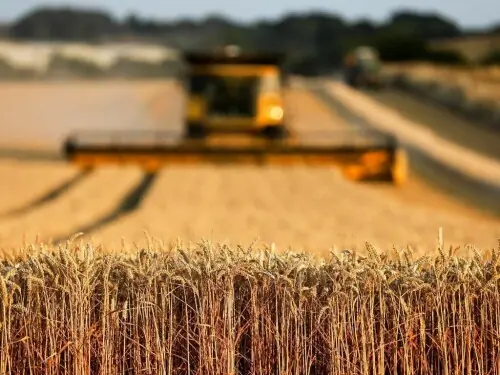 Agri credit reaches Rs1.4trn in first half of FY26