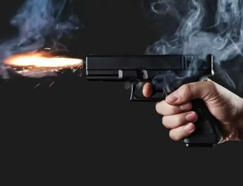 More than 51 criminal cases reported in federal capital