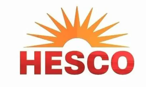HESCO sets ambitious goal to become market leader by 2028: CEO